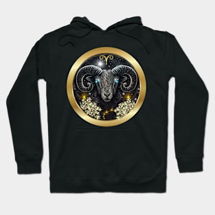 Classy Aires  Zodiac Sign Hoodie